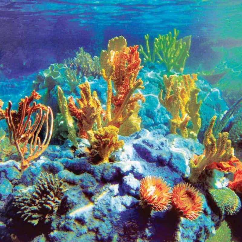 Aquariums